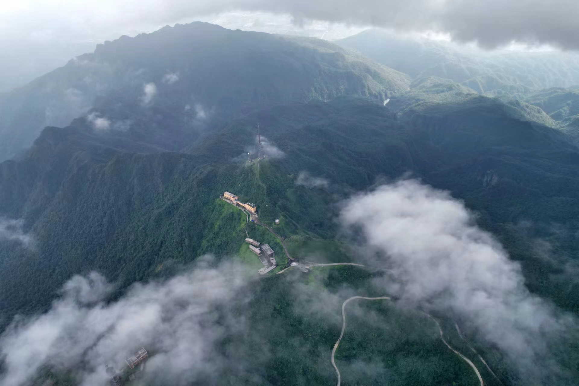 从森林走向森林