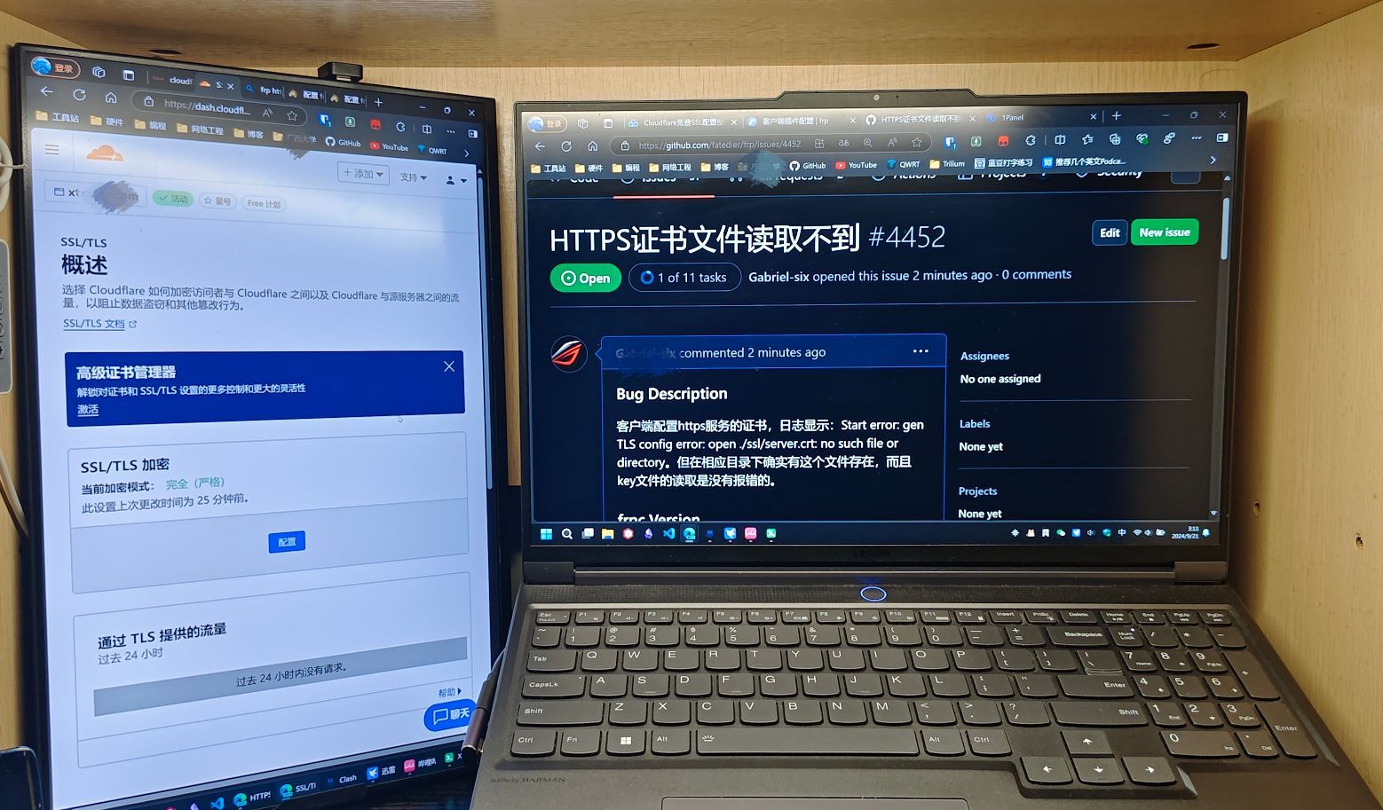 Frp配置HTTPS遇到的问题